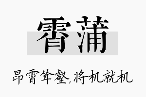 霄蒲名字的寓意及含义