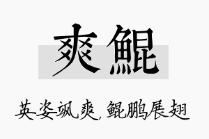 爽鲲名字的寓意及含义