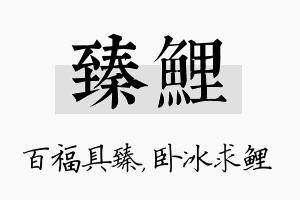 臻鲤名字的寓意及含义