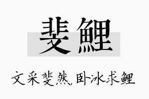 斐鲤名字的寓意及含义