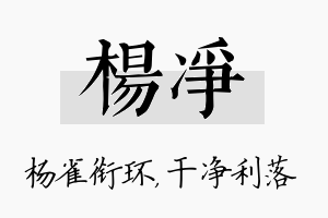 杨净名字的寓意及含义