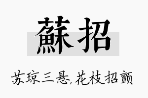 苏招名字的寓意及含义