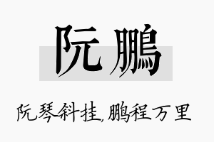 阮鹏名字的寓意及含义