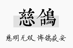 慈鸽名字的寓意及含义