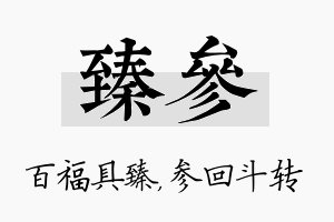 臻参名字的寓意及含义