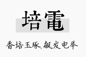 培电名字的寓意及含义