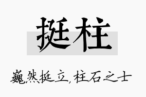 挺柱名字的寓意及含义