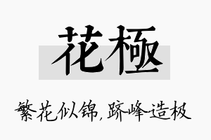 花极名字的寓意及含义