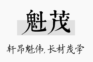 魁茂名字的寓意及含义