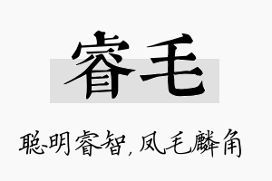 睿毛名字的寓意及含义