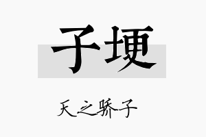 子埂名字的寓意及含义