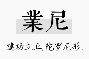 业尼名字的寓意及含义