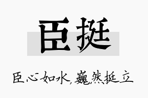 臣挺名字的寓意及含义