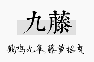 九藤名字的寓意及含义