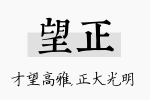 望正名字的寓意及含义