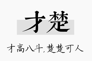 才楚名字的寓意及含义