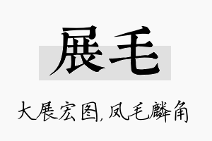 展毛名字的寓意及含义