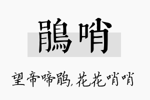 鹃哨名字的寓意及含义