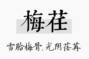 梅荏名字的寓意及含义