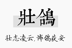 壮鸽名字的寓意及含义