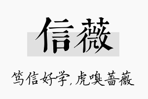 信薇名字的寓意及含义