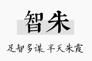 智朱名字的寓意及含义