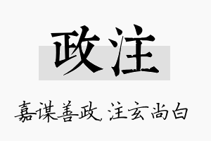 政注名字的寓意及含义