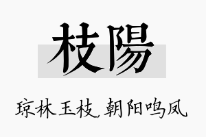 枝阳名字的寓意及含义