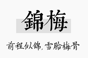 锦梅名字的寓意及含义