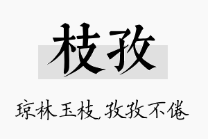 枝孜名字的寓意及含义