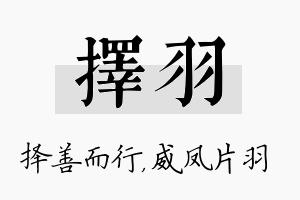 择羽名字的寓意及含义