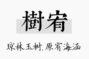 树宥名字的寓意及含义