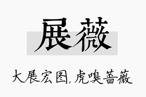 展薇名字的寓意及含义