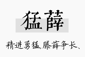 猛薛名字的寓意及含义