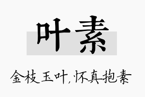 叶素名字的寓意及含义