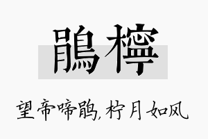 鹃柠名字的寓意及含义