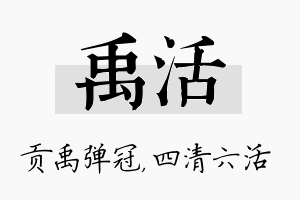 禹活名字的寓意及含义