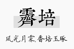 霁培名字的寓意及含义