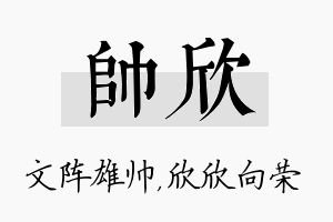 帅欣名字的寓意及含义