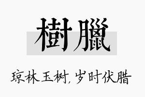 树腊名字的寓意及含义