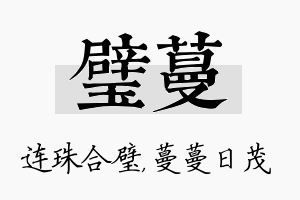 璧蔓名字的寓意及含义