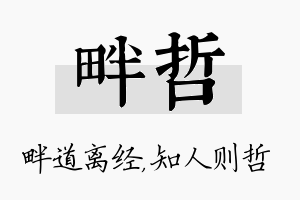 畔哲名字的寓意及含义