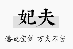 妃夫名字的寓意及含义