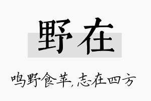 野在名字的寓意及含义