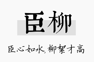 臣柳名字的寓意及含义