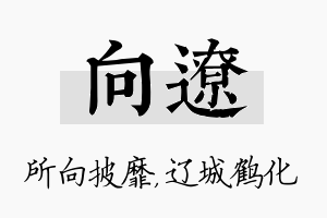 向辽名字的寓意及含义