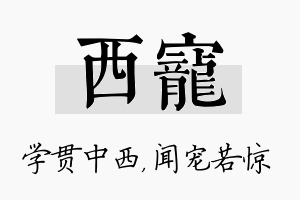 西宠名字的寓意及含义