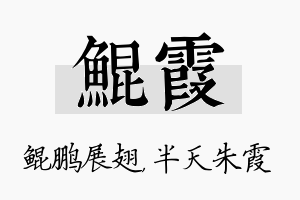 鲲霞名字的寓意及含义