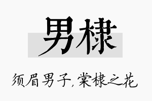 男棣名字的寓意及含义