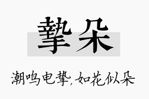 挚朵名字的寓意及含义